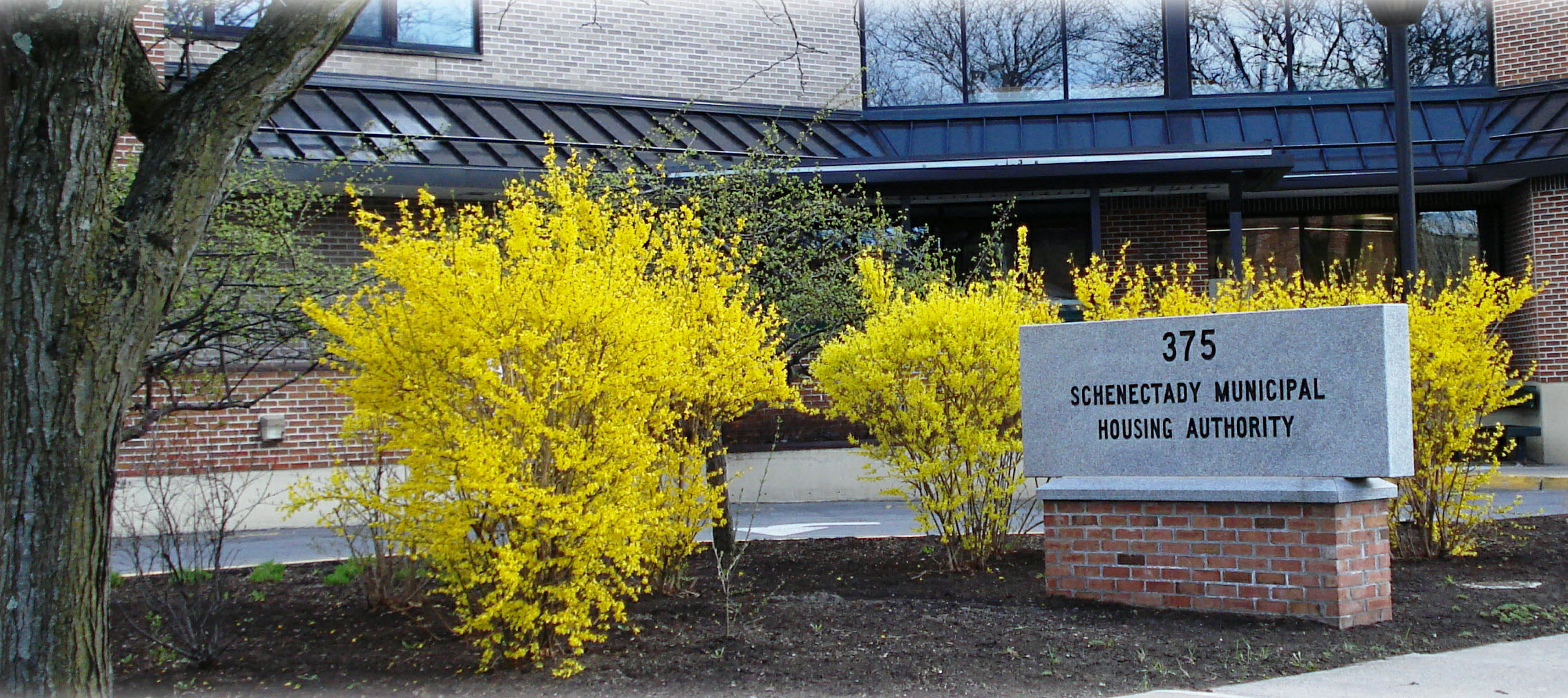 smha at 375 broadway